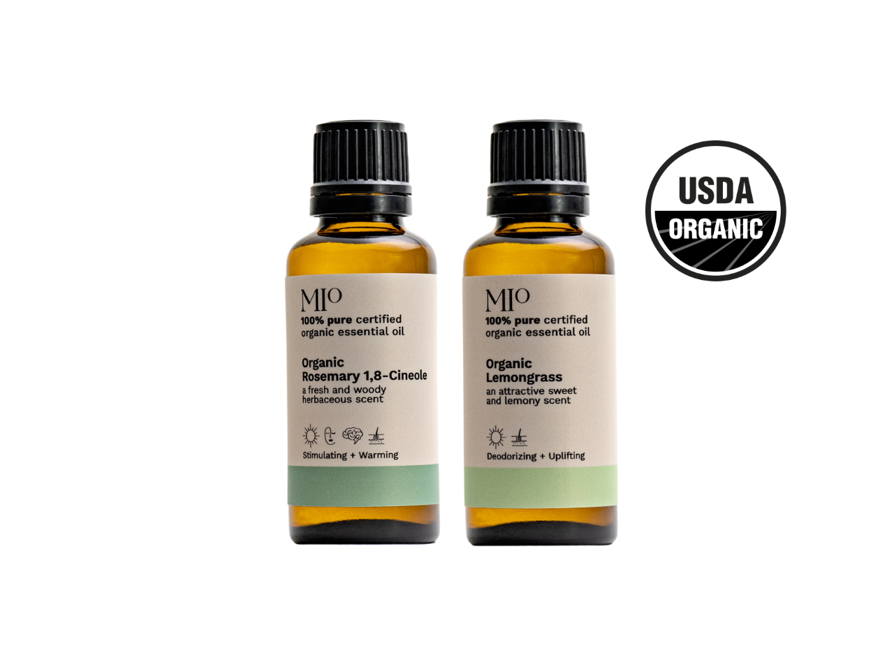 Focus & Clarity Set