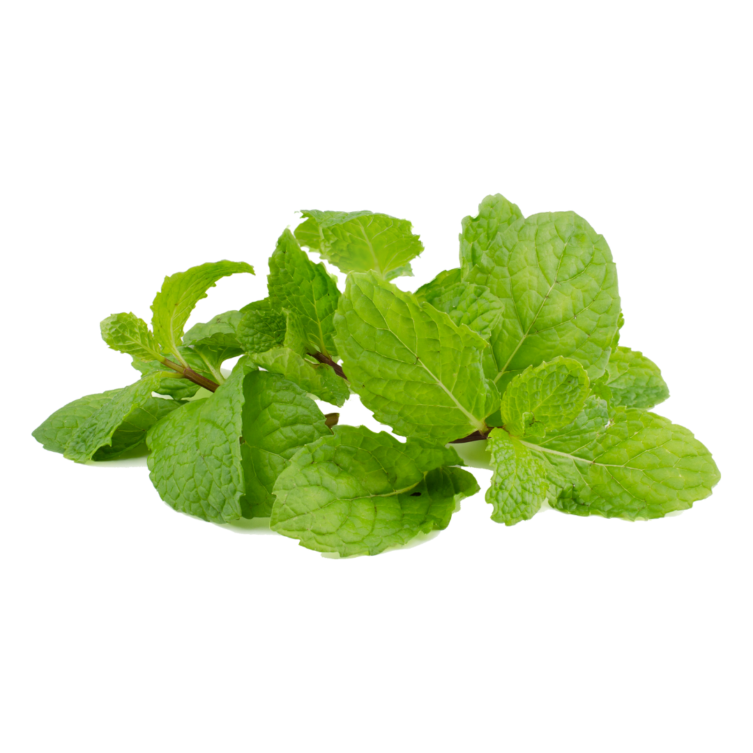 Organic Peppermint