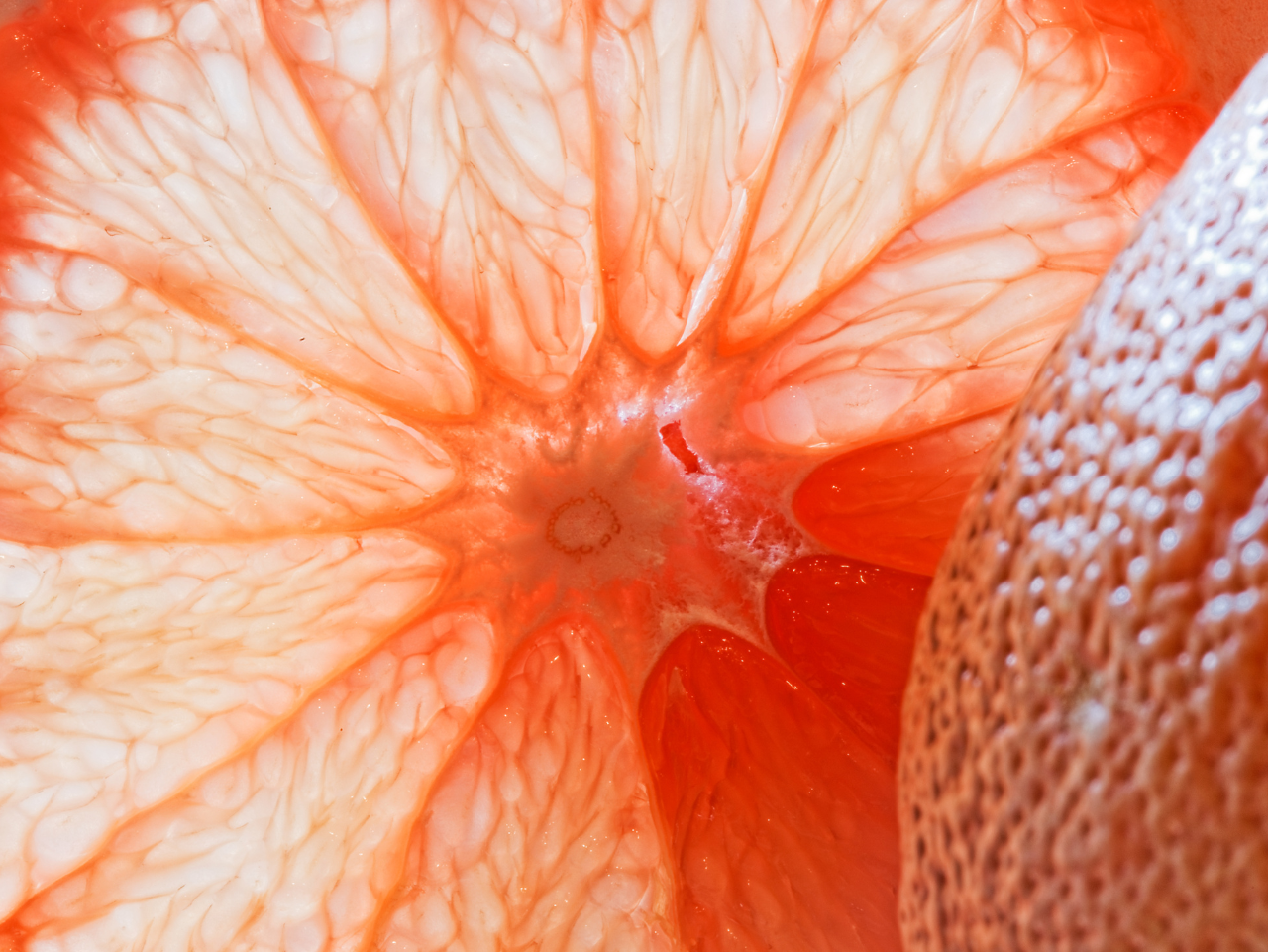 Pink Grapefruit
